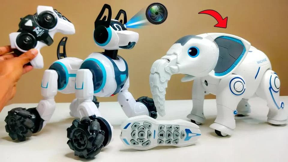 林星辰
